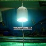 HQI 150W METAL HALIDE BULB Double Ended R7S socket MARINE COLOR brand-39