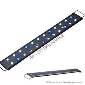 EVO 36" LED Aquarium Light Coral Reef Saltwater Nano 24x 3W 3 Watts Lunar 90 cm-0