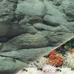 waterproof plastic doubleside aquarium background picture J05/J01-0