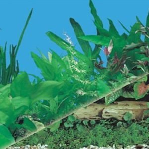 waterproof plastic doublesizes aquarium background picture J11/J03-0